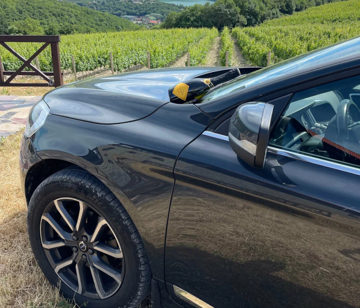 ������������ �����������: 50% ������ �� ������ ������������ ���������� ������ (Volvo) � ��� �� ������� ����������